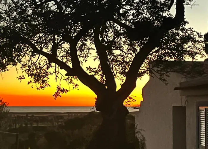 Casa Estrelita, Quinta Da Felicidade, Dos Salgados 別荘