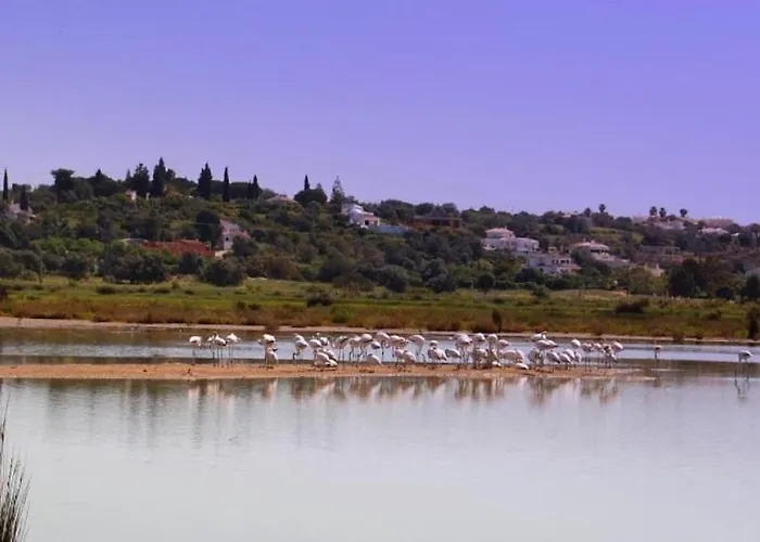 別荘 Casa Estrelita, Quinta Da Felicidade, Dos Salgados *