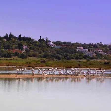 Ferienhaus Casa Estrelita, Quinta Da Felicidade, Dos Salgados *