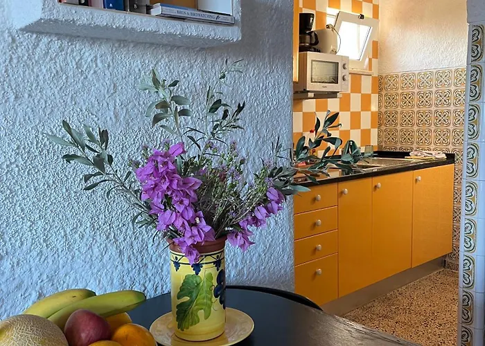 Casa Estrelita, Quinta Da Felicidade, Dos Salgados *